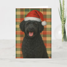 Portugees Waterdog Kerstkaart