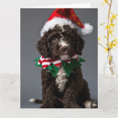 Portugees Waterhond Elf Puppy Kerst Kaart (Gele Bloem)