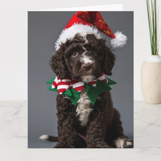 Portugees Waterhond Elf Puppy Kerst Kaart (Voorkant)