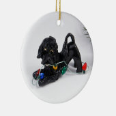 Portugees waterhondenkeramiek keramisch ornament (Rechts)