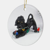 Portugees waterhondenkeramiek keramisch ornament (Links)