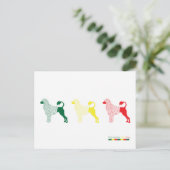 Portugese Kaart waterhond (Staand voorkant)