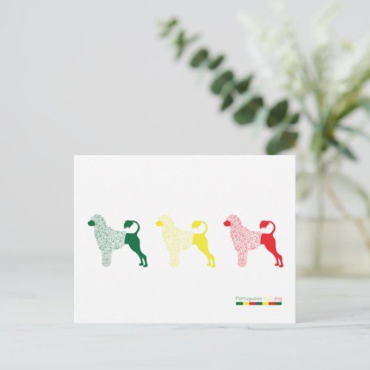 Portugese Kaart waterhond (Staand voorkant)