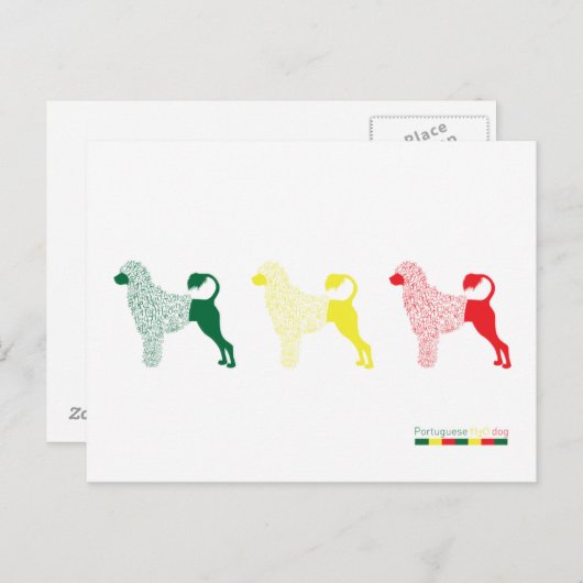 Portugese Kaart waterhond (Voorkant / Achterkant)