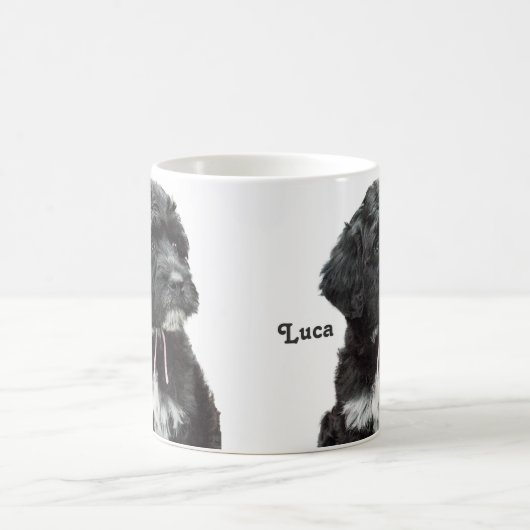 Portugese Mok van de Dog Puppy (Center)