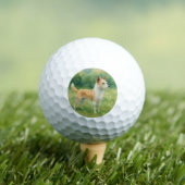 Portugese Podengo Golfballen (Insitu Shirt)