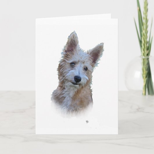 Portugese Podengo Kaart (Voorkant)