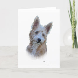 Portugese Podengo Kaart