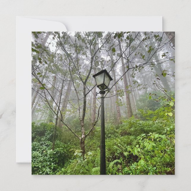 Portugese vibes (Voorkant)