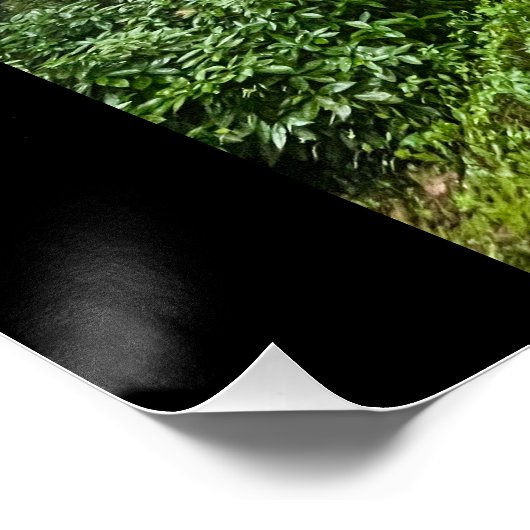 Portugese vibes perfect poster (Hoek)