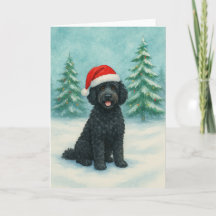 Portugese Waterdog