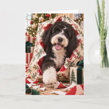 Portugese Waterdog Kerstkaart