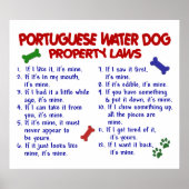 PORTUGESE WATERDOG PL2 POSTER (Voorkant)