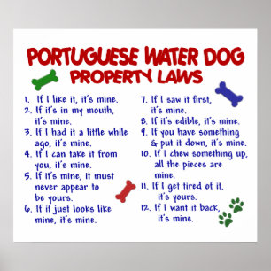 PORTUGESE WATERDOG PL2 POSTER