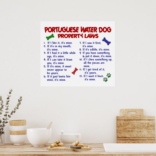 PORTUGESE WATERDOG PL2 POSTER (Keuken)