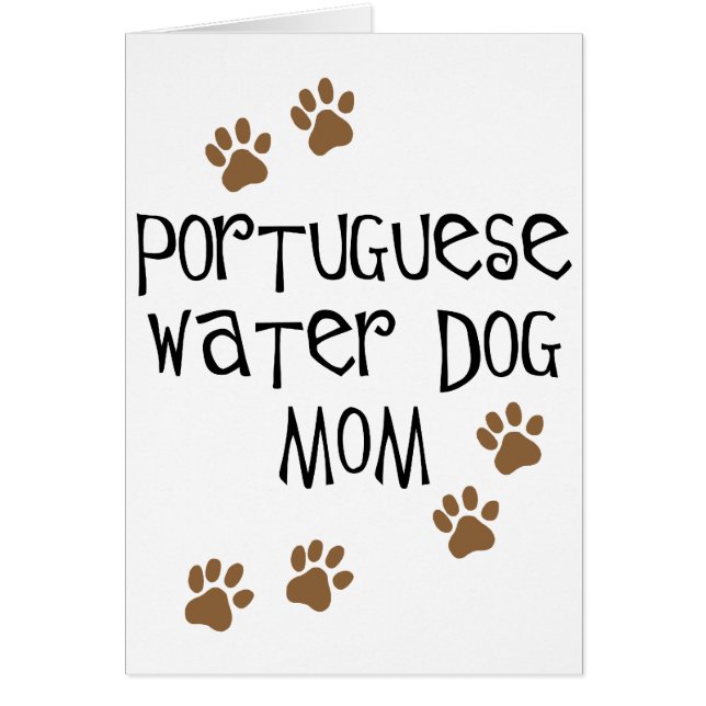 Portugese waterhond (Voorkant)