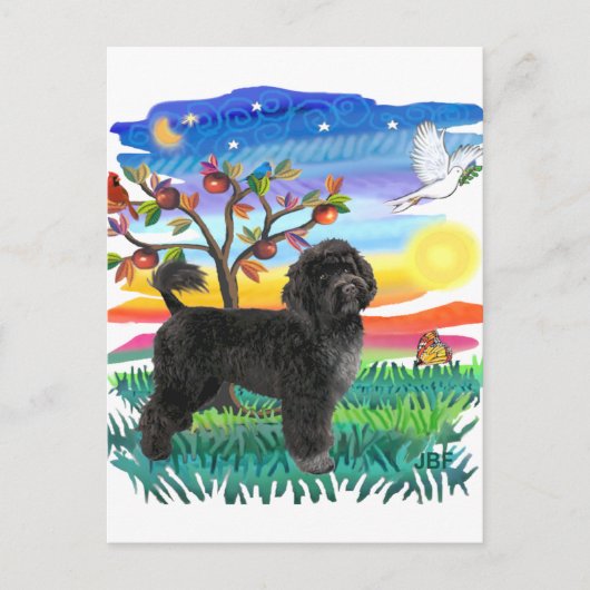 Portugese waterhond (#2) briefkaart (Voorkant)