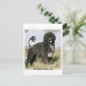 Portugese waterhond 9Y154D-030 Briefkaart (Staand voorkant)
