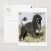 Portugese waterhond 9Y154D-030 Briefkaart (Voorkant / Achterkant)