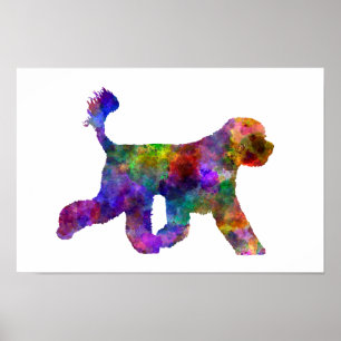 Portugese waterhond in waterverf poster