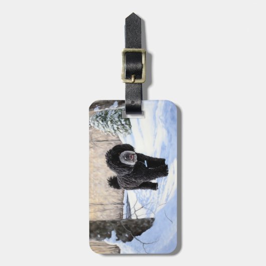 Portugese waterhond laat het sneeuwen Kerstmis Bagagelabel (Voorkant verticaal)