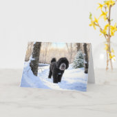 Portugese waterhond laat het sneeuwen Kerstmis Kaart (Gele Bloem)