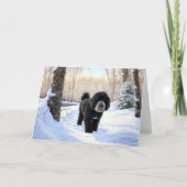 Portugese waterhond laat het sneeuwen Kerstmis Kaart (Voorkant)