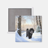 Portugese waterhond laat het sneeuwen Kerstmis Magneet (Voorkant / Achterkant)