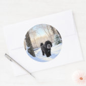Portugese waterhond laat het sneeuwen Kerstmis Ronde Sticker (Envelop)