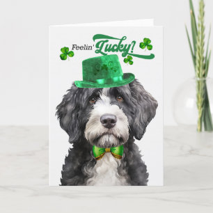 Portugese Waterhond Lucky St Patrick's Day Feestdagen Kaart