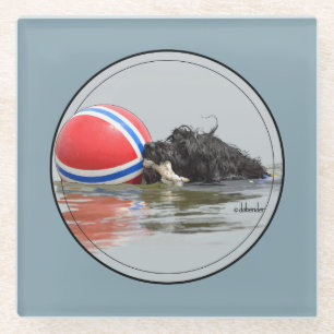 Portugese waterhond met buoy Ball Glazen Onderzetter
