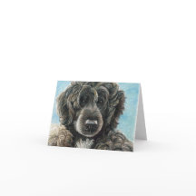 Portugese Waterhond Originele Kunst Notecard