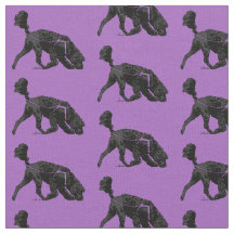 Portugese waterhond - Scent Paars 2 inch