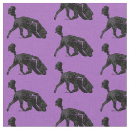 Portugese waterhond - Scent Paars 2 inch Stof