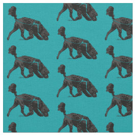 Portugese waterhond - Scent Turquoise 2" Stof
