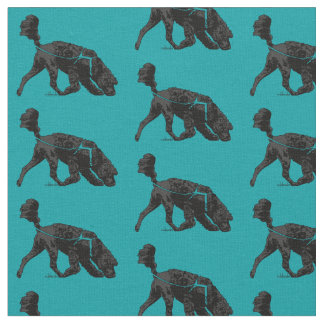 Portugese waterhond - Scent Turquoise 2" Stof