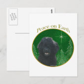 Portugese Waterhond Vrede Briefkaart (Voorkant / Achterkant)