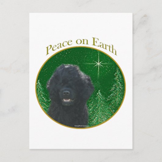 Portugese Waterhond Vrede Briefkaart (Voorkant)