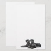 Portugese waterhonden briefpapier (Voorkant / Achterkant)