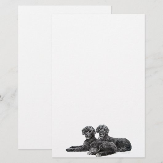 Portugese waterhonden briefpapier (Voorkant / Achterkant)
