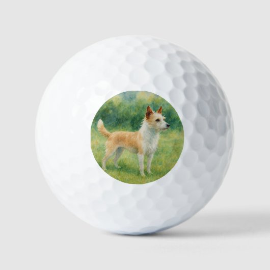 Portuguese Podengo Golfballen (Voorkant)