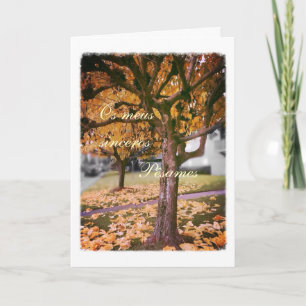 Portuguese sympathy card/condolencias: Fall tree Kaart