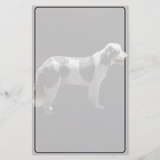 Portuguese Water Dog Briefpapier (Voorkant)