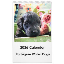 Portuguese Water Dog Calendar 2026 Kalender