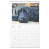 Portuguese Water Dog Calendar 2026 Kalender (Feb 2026)