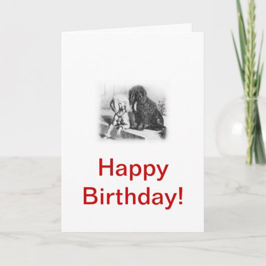 Portuguese Water Dog Kaart (Voorkant)