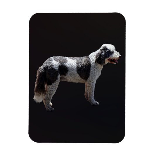 Portuguese Water Dog Magneet (Verticaal)
