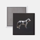 Portuguese Water Dog Magneet (Voorkant / Achterkant)