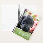 Portuguese Water Dog Planner Sweet (Display)