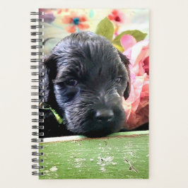 Portuguese Water Dog Planner Sweet